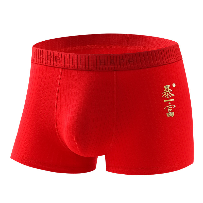 Boxeri pentru bărbați din bumbac, antibacterieni, cu motivul anului zodiacal 2025, talie medie, model text