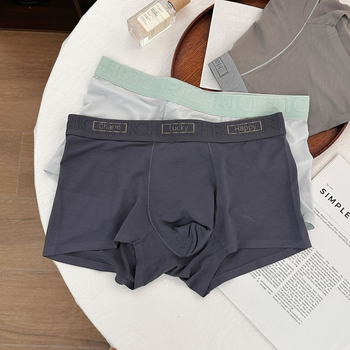 Meeste Lensing modalist bokserid, 100% puuvillane vooder, hingavad, antibakteriaalsed, keskmise kõrgusega vöökoht, muster: värvide ühtlus ja tekst