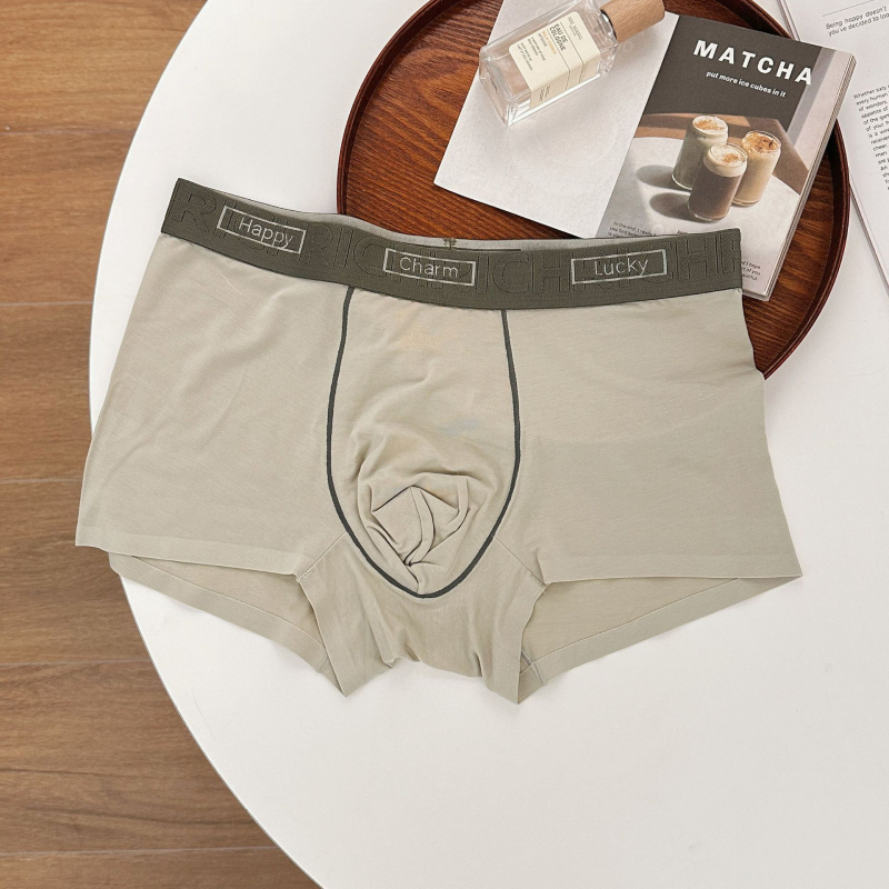 Meeste Lensing modalist bokserid, 100% puuvillane vooder, hingavad, antibakteriaalsed, keskmise kõrgusega vöökoht, muster: värvide ühtlus ja tekst