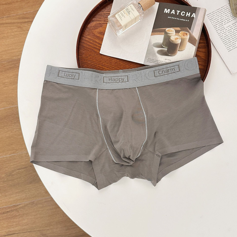 Meeste Lensing modalist bokserid, 100% puuvillane vooder, hingavad, antibakteriaalsed, keskmise kõrgusega vöökoht, muster: värvide ühtlus ja tekst