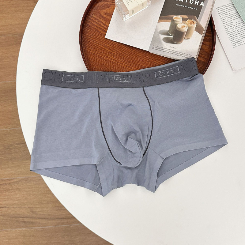 Meeste Lensing modalist bokserid, 100% puuvillane vooder, hingavad, antibakteriaalsed, keskmise kõrgusega vöökoht, muster: värvide ühtlus ja tekst