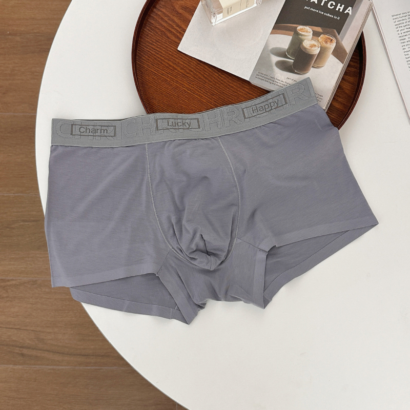 Meeste Lensing modalist bokserid, 100% puuvillane vooder, hingavad, antibakteriaalsed, keskmise kõrgusega vöökoht, muster: värvide ühtlus ja tekst