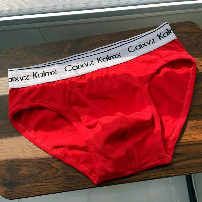 Muške gaćice od pamuka (prozračne; brzo se suše; sportske; srednji pojas; pletene)