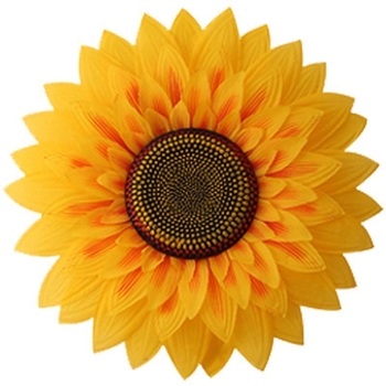 Слънчогледов реквизит за сценични изпълнения – ръчно държан танцов аксесоар, марка a ride, за възрастни, Пролет 2025