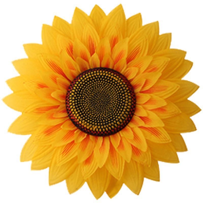 Слънчогледов реквизит за сценични изпълнения – ръчно държан танцов аксесоар, марка a ride, за възрастни, Пролет 2025