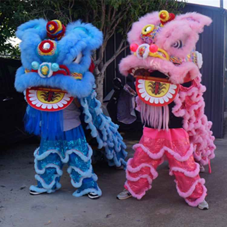 Комплект за танц на лъв - Южен лъв, Събуждащ лъв, За двама възрастни, Лъв от австралийска вълна, Пълен фестивален комплект, Лято 2025