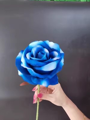 Флорален реквизит за танцова фотография с изкуствени цветя — марка Other; пуск през есента на 2024 г.