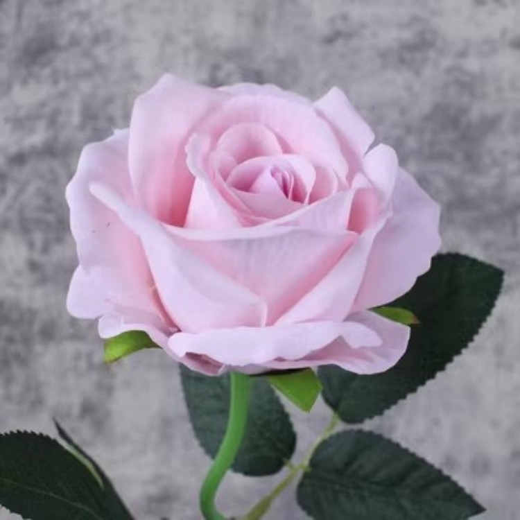 Флорален реквизит за танцова фотография с изкуствени цветя — марка Other; пуск през есента на 2024 г.