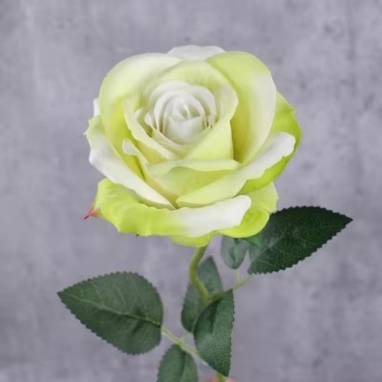 Флорален реквизит за танцова фотография с изкуствени цветя — марка Other; пуск през есента на 2024 г.