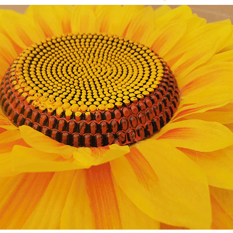 Детски танцов реквизит със слънчоглед – държан слънчоглед за изпълнение, Марка: Other, Налично в готови запаси, Лято 2021