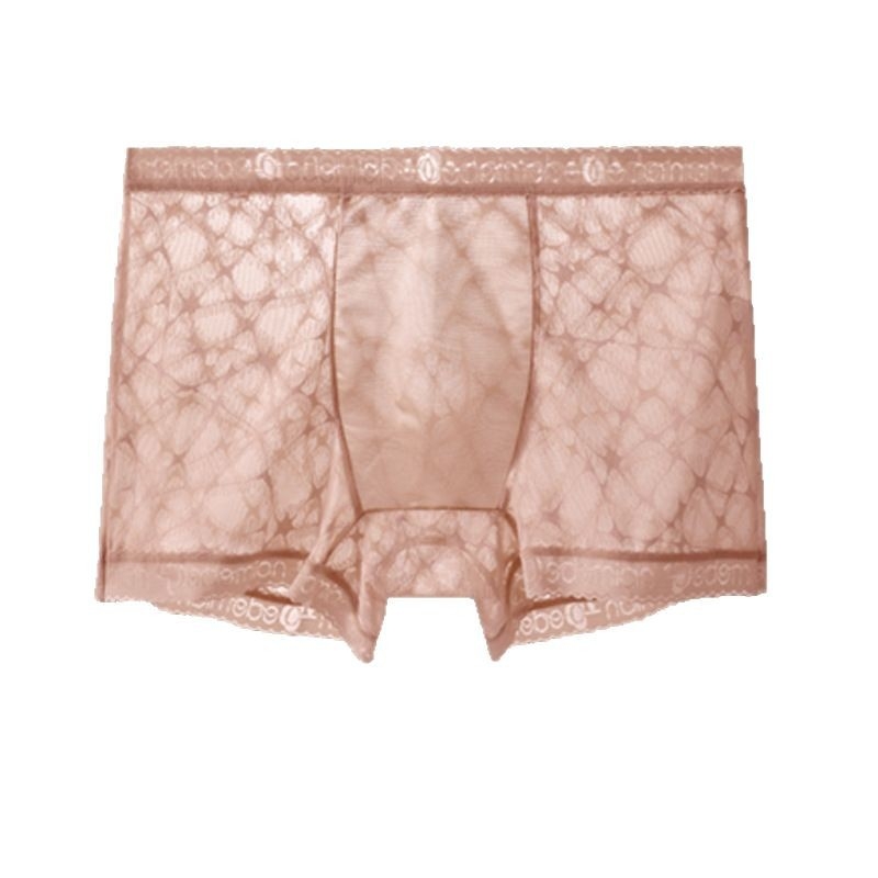 Muške bokserice s čipkom, prozirne, bezšivne, od najlona, 31-40D