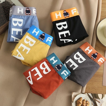 Muške bokserice od pamuka, sa srednjim strukom, za mlade, udobnost kroz cijelu godinu, pamuk pletena tkanina