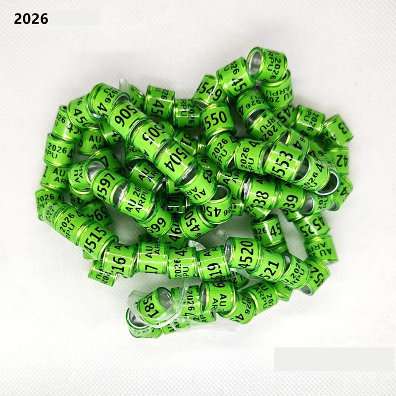 Galambláb-gyűrűk, galambkiegészítők, jelölőgyűrűk, 2026 szabványosított külső gyűrűk, galambkiegészítők, galambgyűrűk