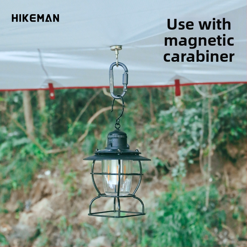 D-typ karabínka z hliníkovej zliatiny so zaisťovacím mechanizmom, pre kempovanie a vonkajšie použitie; vhodná ako prívesok na kľúče a pracka na batoh