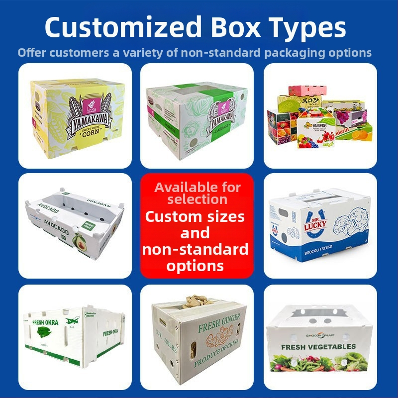 PP krabica na ovocie a zeleninu s dutou doskou, vodotesná, skladacia, nosnosť 50