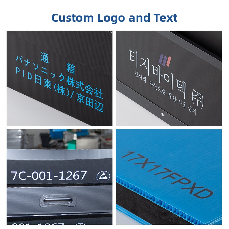 PP organizačná škatuľa s vodotesným a vlhkosť odolným dizajnom, škatuľka na súbory s nakloneným predným otvorom, Xingyu Industrial