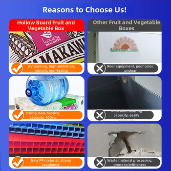 PP куха панелна кутия за плодове и зеленчуци, водоустойчива и влагозащитна, сгъваема за хладилна верига, инжекционно формована