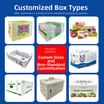 PP куха панелна кутия за плодове и зеленчуци, водоустойчива и влагозащитна, сгъваема за хладилна верига, инжекционно формована