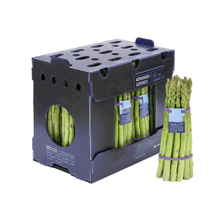 PP куха панелна кутия за плодове и зеленчуци, водоустойчива и влагозащитна, сгъваема за хладилна верига, инжекционно формована