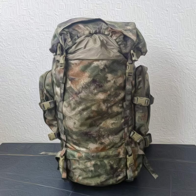 Раница с пейзажен принт, найлон, водоустойчива, подплата от оксфордска тъкан, унисекс