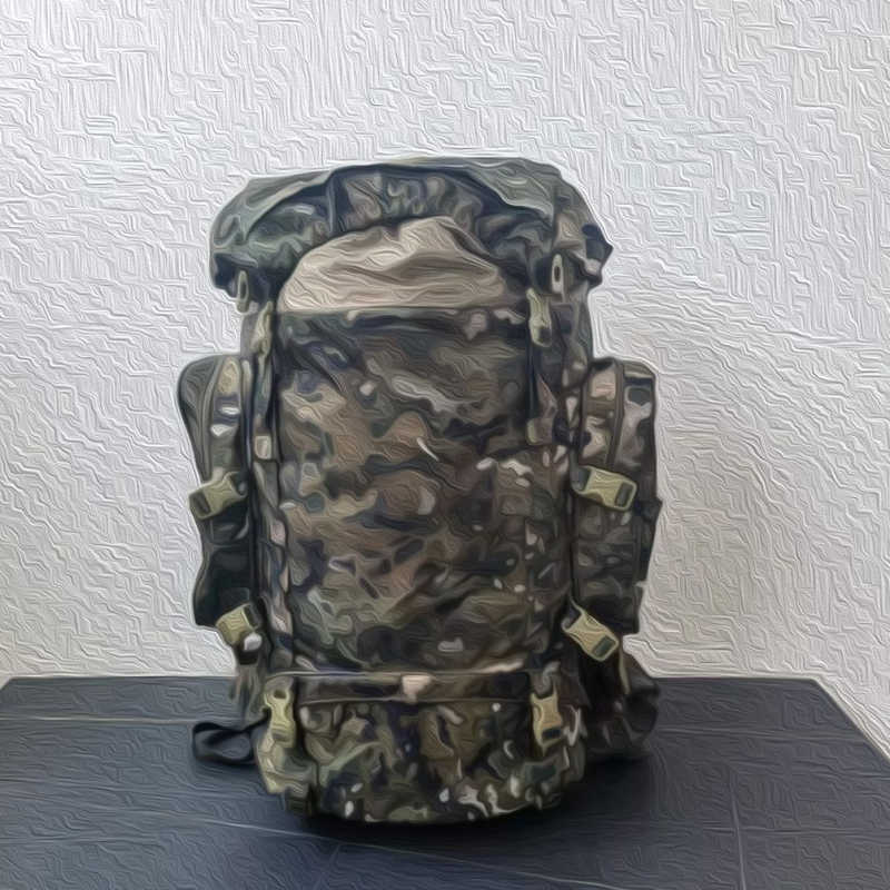 Раница с пейзажен принт, найлон, водоустойчива, подплата от оксфордска тъкан, унисекс