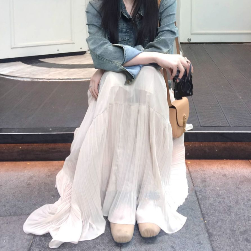 Plisirana duga suknja za žene, proljeće 2025., stil royal sister, private server socialite