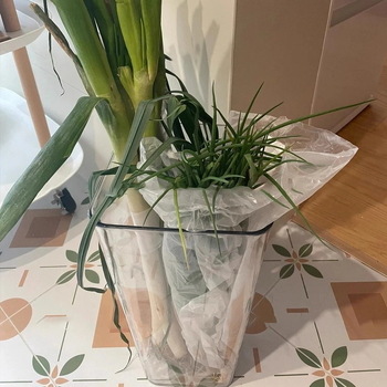 Πολυλειτουργικός σωλήνας οργάνωσης κουζίνας για πράσινο κρεμμύδι, τζίντζερ και σκόρδο — πλαστικό, προσαρμόσιμο, μοντέρνος μινιμαλιστικός σχεδιασμός