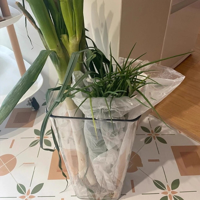 Πολυλειτουργικός σωλήνας οργάνωσης κουζίνας για πράσινο κρεμμύδι, τζίντζερ και σκόρδο — πλαστικό, προσαρμόσιμο, μοντέρνος μινιμαλιστικός σχεδιασμός