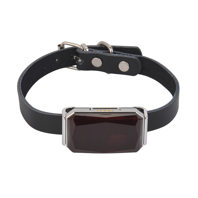 G12 локатор за нашийник – смарт GPS тракер за домашни любимци, водоустойчив, антиизгубване и антикрадба, позициониране GPS+Wi‑Fi+AGPS+Beidou, батерия до 240 ч, USB зареждане