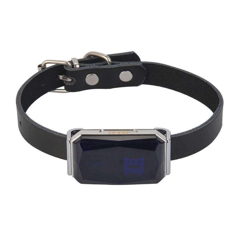 G12 локатор за нашийник – смарт GPS тракер за домашни любимци, водоустойчив, антиизгубване и антикрадба, позициониране GPS+Wi‑Fi+AGPS+Beidou, батерия до 240 ч, USB зареждане