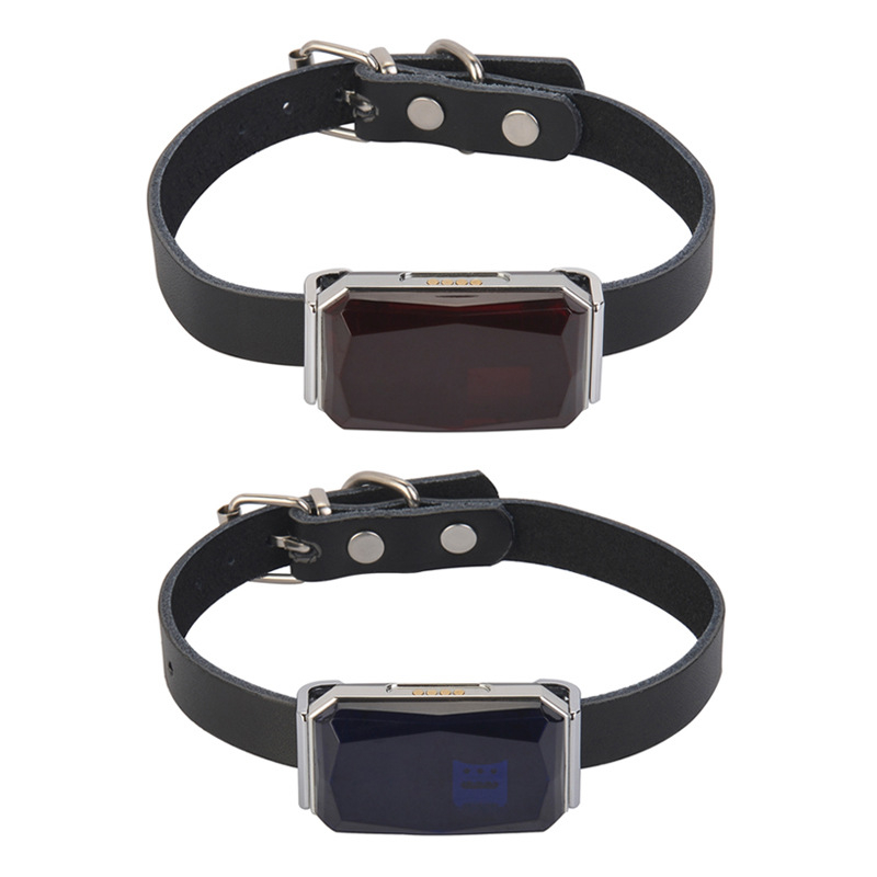 G12 GPS локатор за домашни любимци, водоустойчив, за открито, WiFi+GPS антена, аларма при загуба и ограда