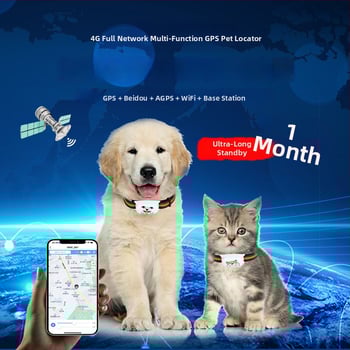 Локатор за домашни любимци на каишка с 4G, съвместим с Android и iOS, 500 mAh, тегло 30 g, размери 31×61×16 мм