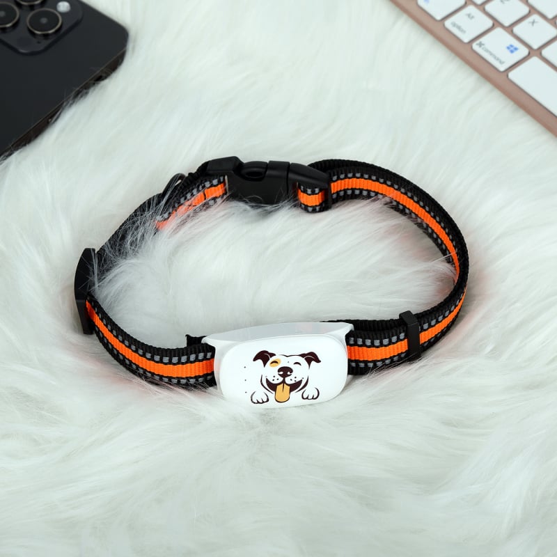 Локатор за домашни любимци на каишка с 4G, съвместим с Android и iOS, 500 mAh, тегло 30 g, размери 31×61×16 мм