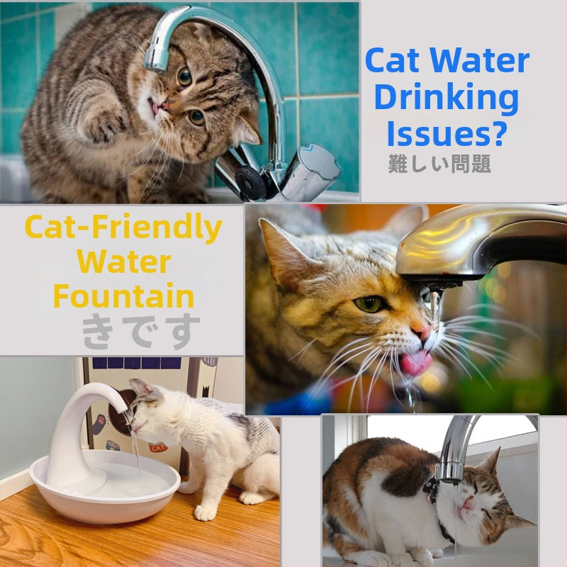 PioneerPet Swan Distribuitor de apă pentru animale de companie – pentru câini și pisici, detașabil, greutate 0,65 kg