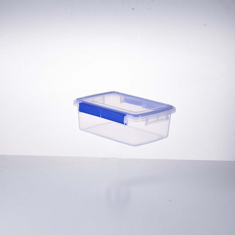 Plastična zapečaćena pravokutna kutija za skladištenje hrane s poklopcem, zadržava toplinu, nije prikladna za mikrovalnu pećnicu
