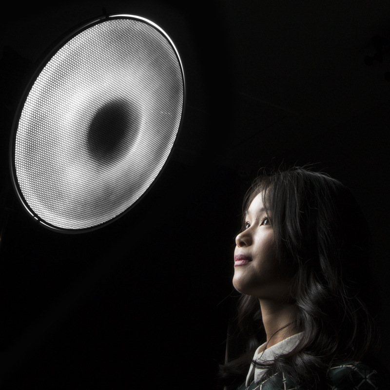 Аксесоар за осветление за студио – корпус от алуминиев сплав, подходящ за фотография и фотоапарати; тегло 0.84–1.76 кг; марка Neutral