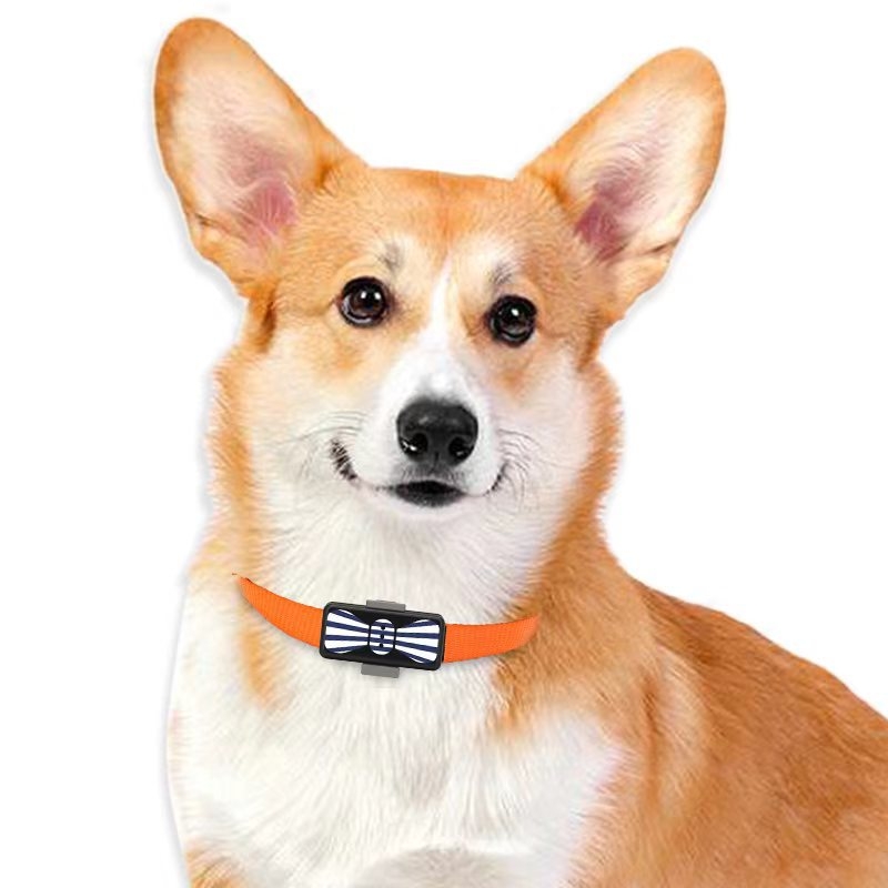 Εντοπιστής κατοικίδιων BC01 IP66 αδιάβροχος, GPS ακρίβεια 5 m, συναγερμός φράχτη, διάρκεια μπαταρίας 168 h