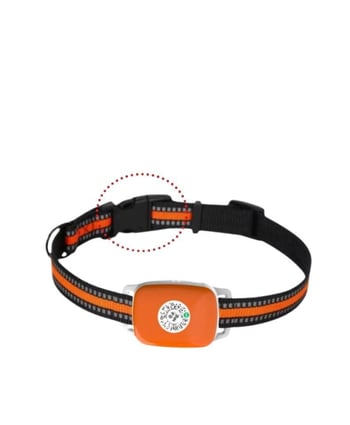 GPS локатор за домашни любимци — водоустойчива каишка за кучета и котки, проследяване при загуба, Android и iOS съвместим