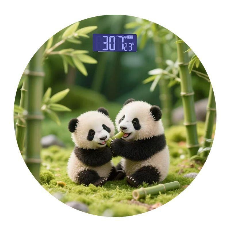 Kućna elektronička vaga za mjerenje tjelesne težine, sladak crtani dizajn, marka Zhang Zhe Factory, pogodno za odrasle