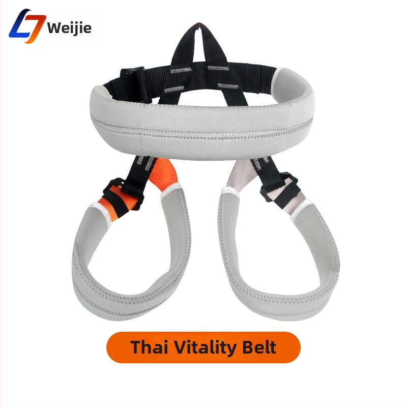 Sada jógy s oporným pásom na pás, pevným diskom, univerzálnym kolieskom, karabínou a bezpečnostnou elastickou šnúrou