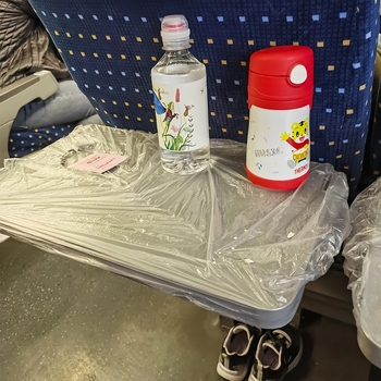 Μίας χρήσης επιφάνεια τραπεζιού τρένου, αδιάβροχη, αντιβακτηριακή, ανθεκτική στη βρωμιά, από πλαστικό (PE/πολυαιθυλένιο), με δυνατότητα εκτύπωσης λογότυπου