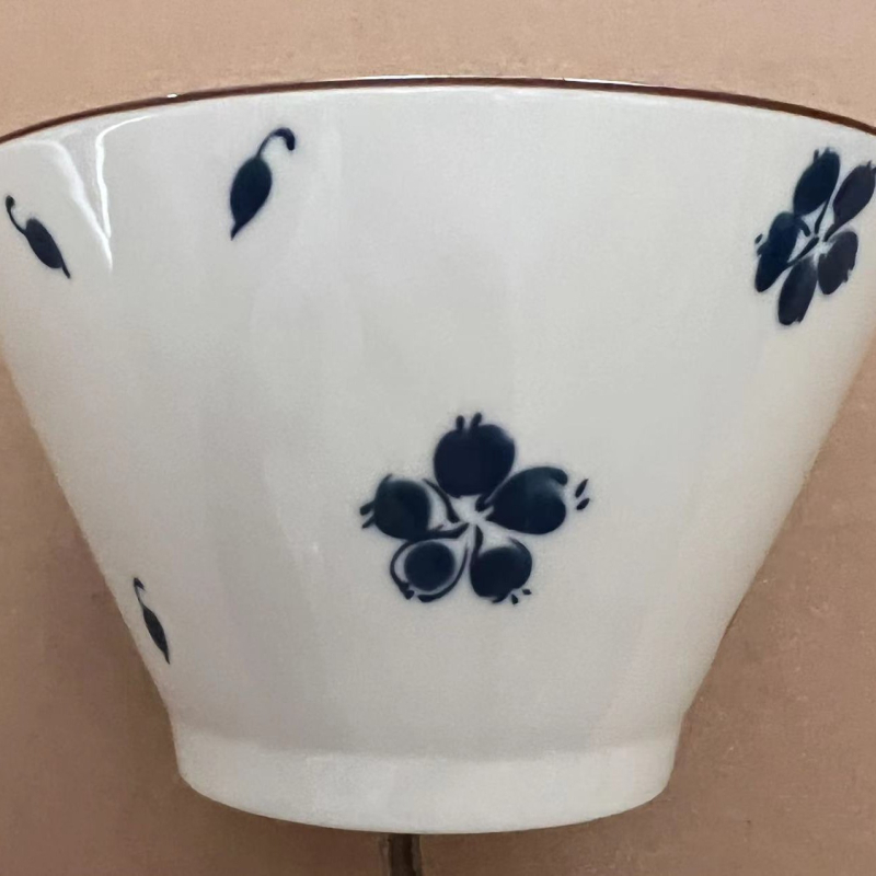 Porcelanska zdjela japanskog stila, okruglog oblika, mikrovalna sigurna, razni uzorci