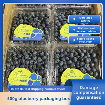 Box na balenie čučoriedok, dýchateľný PET materiál, priehľadný zosilnený plast, jednorazové použitie, 100 ks v balení