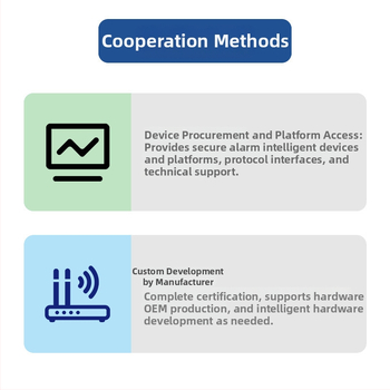 Detector de monoxid de carbon, model CO-08N, wireless, AC 220 V, detecție omnidirecțională, montare pe perete