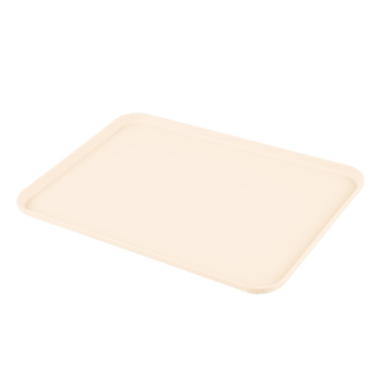 Tavă plată din plastic, dreptunghiulară, pentru ceai și cafea, suprafață mată, culoare solidă, stil modern minimalist