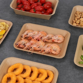 Farfurii de unică folosință din Kraft, dreptunghiulare, capacitate 500, cutie 20 de bucăți, biodegradabile