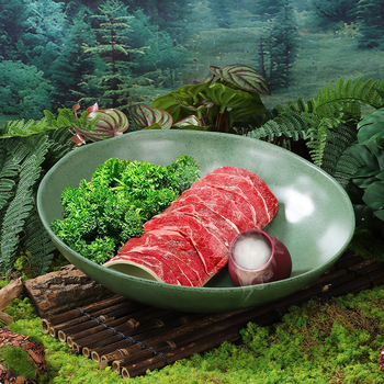 Ploški tanjur, okrugli tanjur od melamina, za govedinu, s prilagodljivim logotipom, nije pogodna za mikrovalnu