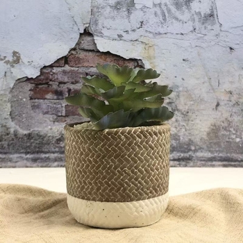 Saksija od cementa, ručno oslikana, nordijskog stila, za stolnu i podnu uporabu