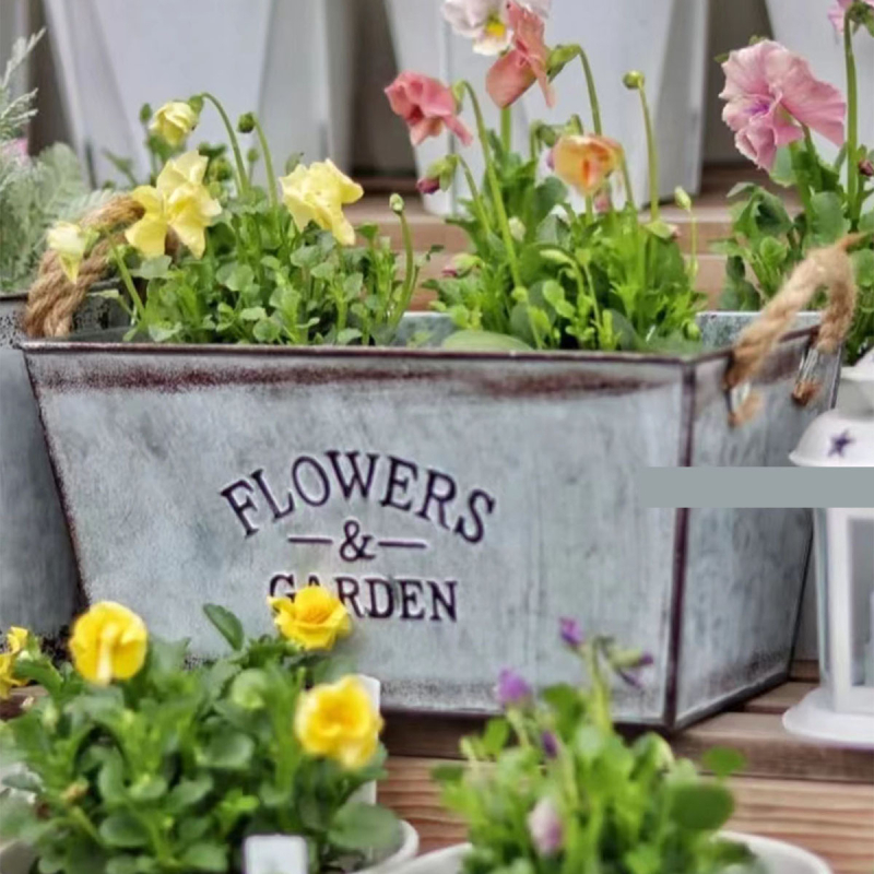 Vasból készült szukkulens virágtartó készlet, vintage kopott hatás, amerikai stílus, félig kézműves