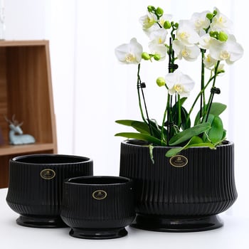 Baichen keramički lonac za Phalaenopsis s tacom, skandinavski stil, stolna upotreba, kućna dekoracija